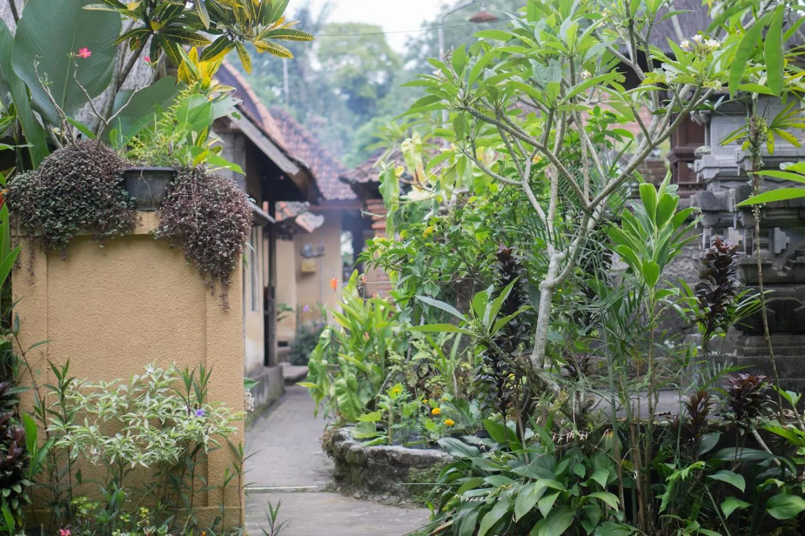 Telaga Homestay Ubud Indonésia